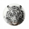 Taitu Фарфоровая десертная тарелка Tiger 22 см Wild Spirit (12-1-1-C)