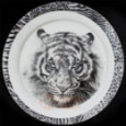 Taitu Фарфоровая десертная тарелка Tiger 22 см Wild Spirit (12-1-1-C)