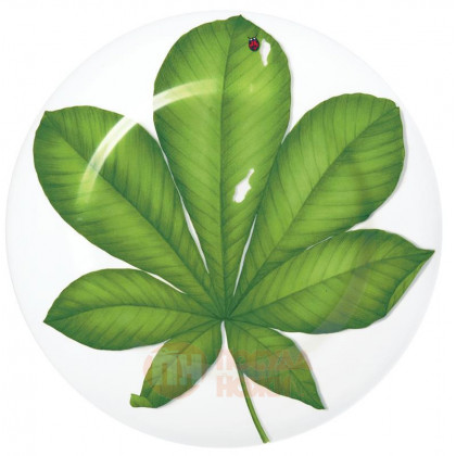 Taitu Фарфоровая подстановочная тарелка Leaf 31.5 см Freedom (1-86-D)