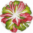 Taitu Фарфоровое сервировочное блюдо Insalate 31 см Dieta Mediterranea Vegetables (12-8-6)