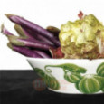 Taitu Фарфоровый салатник 21.5 см Cactus (5-5-72)