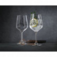 2 бокала для коктейлей Nachtmann Tattoo Wine/Spritz Botanical \ 105723